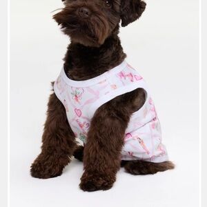 Roller Rabbit dog pajama